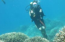 Discover Nha Trang Bay with Scuba Diving Tour