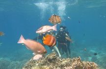 Discover Nha Trang Bay with Scuba Diving Tour