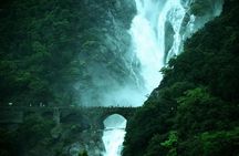 Day Trip to Mollem National Park Including Dudhsagar Falls and Jeep Safari from Goa