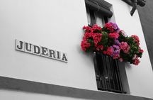 Seville in 1 day: guided tour of Cathedral, Alcazar and Jewish Quarter