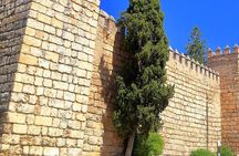 Essential Seville: Tour of the Great Monuments and Santa Cruz