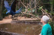 Itaipu Dam & Bird Park & Iguassu Falls Brazilian Side From Puerto Iguazu Hotels