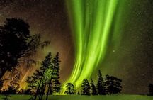 Northern Lights Aurora Tour from Kemi
