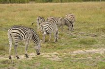 3 Day Okavango Delta