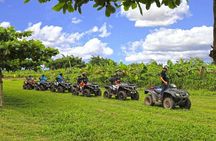 Single ATV Adventure: Private Hacienda Experience with Transfer