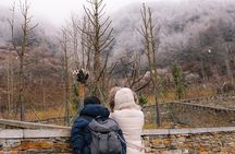 Visiting Wolong Panda Base and Hiking on Heritage Site 