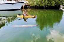 Mangroves and Manatees - Guided Kayak Eco Tour