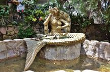 Mysteries of Candomblé: Private Afro-Brazilian Religion Tour 