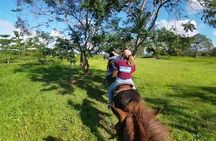 Scenic Horseback Riding Tour from San Juan