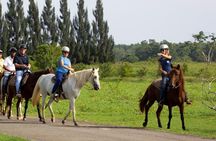 Scenic Horseback Riding Tour from San Juan