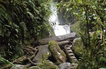 Full-Day Mindo Magical Town Tour 