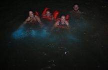 Luminous Lagoon and Glistening Water Tour from Montego Bay