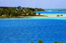Bacalar