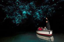 Hobbiton and Waitomo Caves from Auckland - Smaller Group