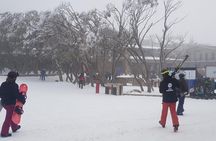 Mt Buller Day Trip from Melbourne
