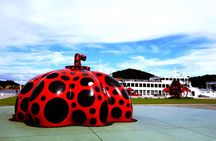 Naoshima private tour by licensed tourguide