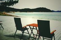Naoshima private tour by licensed tourguide