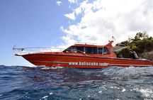 Nusa Penida Day Trip for 3 dives