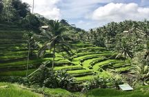 3-Day Bali Highlights Private Tour with Ubud, Tanah Lot & Uluwatu
