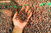 Chocolate Tour Manuel Antonio