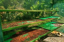 Chocolate Tour Manuel Antonio