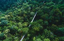 Sunset Walk at Penang Hill