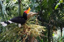 Kuala Lumpur Bird Park With Return Transfers 