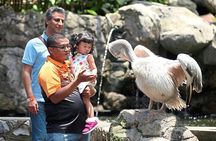 Kuala Lumpur Bird Park With Return Transfers 