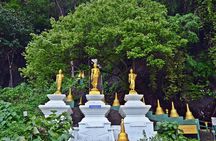 Amazing Full-Day Nature Discovery in Krabi