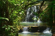 Waterfalls and Nature Tour