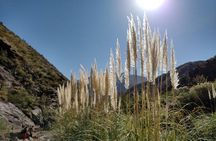 Family Trekking + Rappelling - Potrerillos: "Cascada del Angel"
