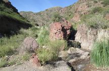 Family Trekking + Rappelling - Potrerillos: "Cascada del Angel"