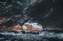 PRIVATE TOUR from Lima to Oasis and ballestas Island(make your own schedule) 
