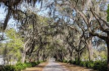 Custom Savannah Private Tour