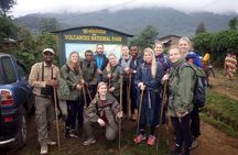 One Day Mt Bisoke Hike Adventure in Volcanoes Park ( 2 Pax Min)