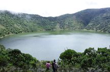 1 Day Rwanda Gorilla Trekking Tour In The Volcanoes National Park