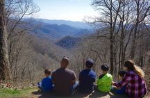 Smoky Mountain Guided Scenic High Van Tour