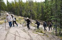Cameron Falls Hiking Tour from Yellowknife