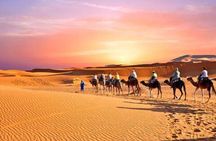 Desert Agafay & Atlas Mountains & Waterfalls, Camel ride Day Trip From Marrakech