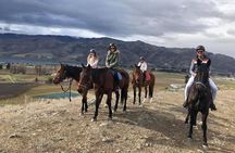 Golden Hills Horse Treks