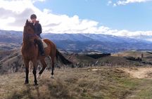 Golden Hills Horse Treks