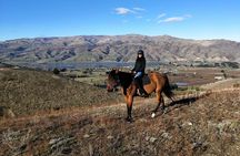 Golden Hills Horse Treks