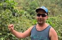 Coffee tour