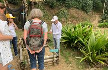 Coffee tour