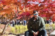 Make Your Trip Around Nami Island With an Expert(DSLR option) 