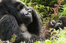 Arusha National Park 4 Days