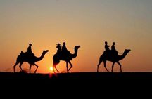 Sunset Camel Ride in the AGAFAY DESERT trip from Marrakech