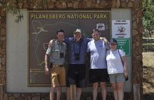 Big 5 Safari Experience at Pilanesberg National Park
