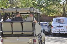 Big 5 Safari Experience at Pilanesberg National Park