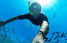 Guided by Divemaster, Cabo San Lucas short Snorkeling Tour MANTA 